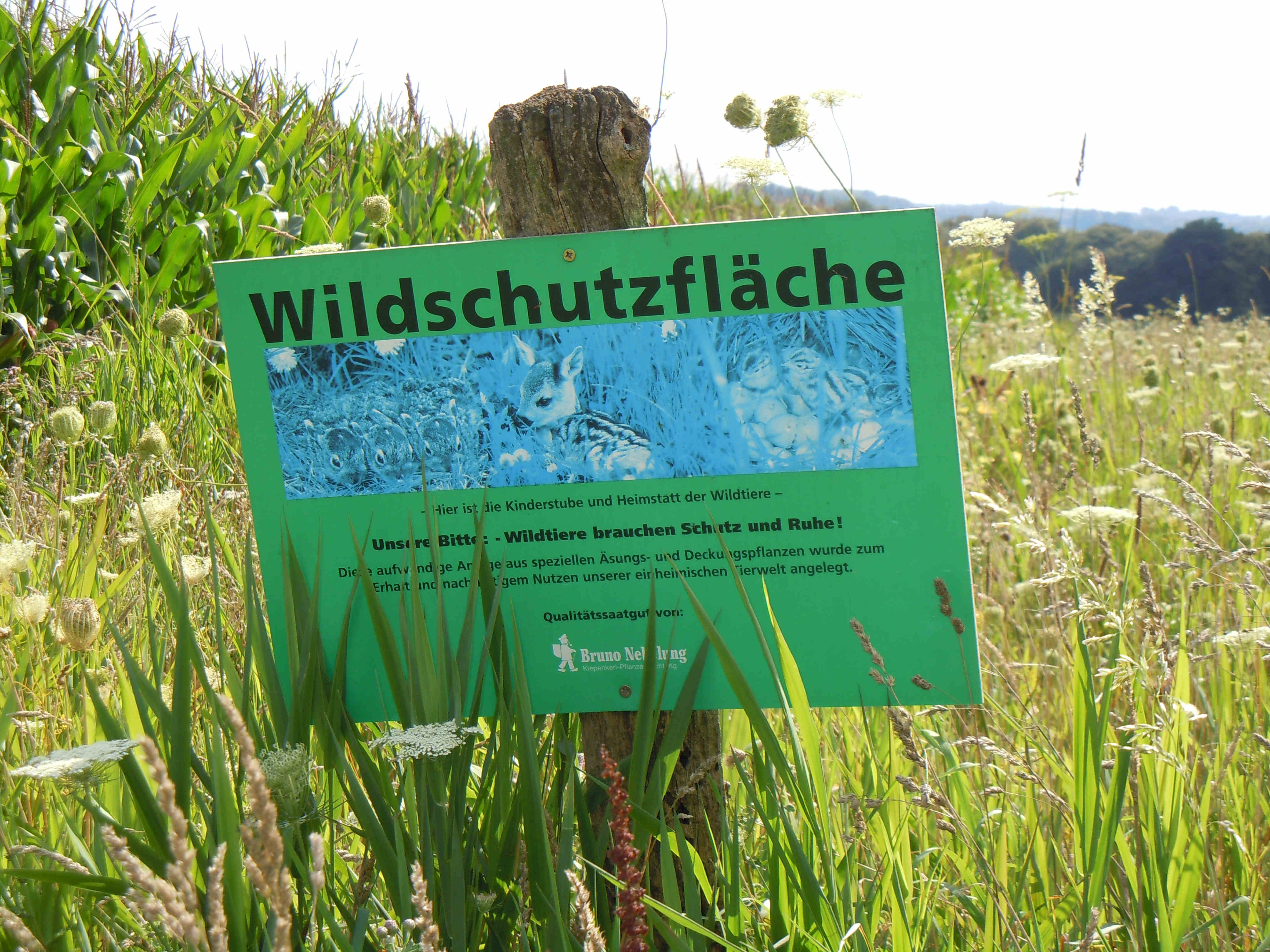 Blühstreifen